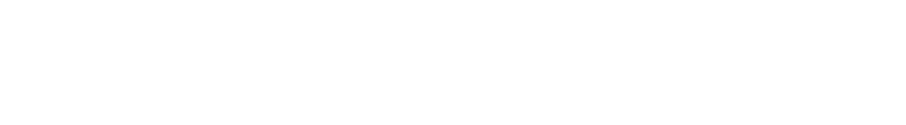 SAIVEN